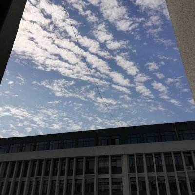 三十六策手游下载