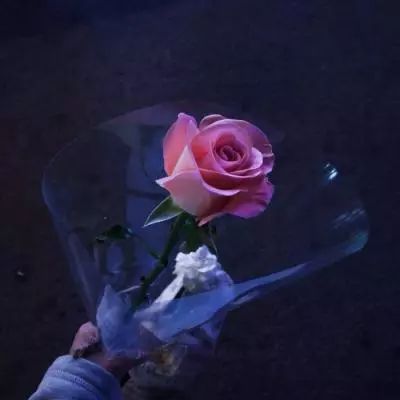 神龙武士手游九游版下载